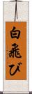 白飛び Scroll