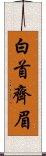 白首齊眉 Scroll