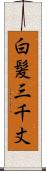 白髪三千丈 Scroll