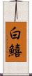 白鱚 Scroll