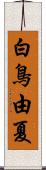 白鳥由夏 Scroll