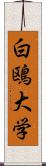 白鴎大学 Scroll