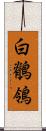 白鶺鴒 Scroll