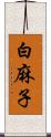 白麻子 Scroll