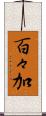 百々加 Scroll