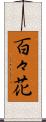 百々花 Scroll