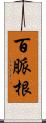 百脈根 Scroll