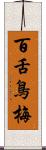 百舌鳥梅 Scroll