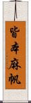 皆本麻帆 Scroll