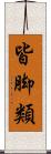 皆脚類 Scroll