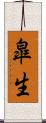 皐生 Scroll