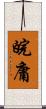 皖庸 Scroll