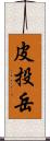 皮投岳 Scroll