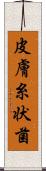 皮膚糸状菌 Scroll