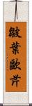 皺葉歐芹 Scroll