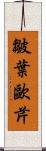 皺葉歐芹 Scroll