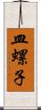 皿螺子 Scroll