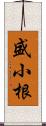 盛小根 Scroll