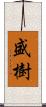 盛樹 Scroll