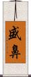 盛鼻 Scroll