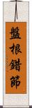 盤根錯節 Scroll