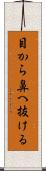 目から鼻へ抜ける Scroll