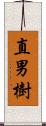 直男樹 Scroll