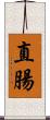 直腸 Scroll
