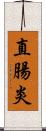 直腸炎 Scroll