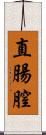 直腸膣 Scroll