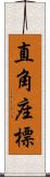 直角座標 Scroll