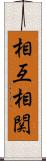 相互相関 Scroll