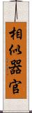 相似器官 Scroll