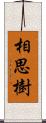 相思樹 Scroll