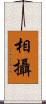 相攝 Scroll
