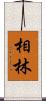 相林 Scroll
