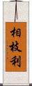 相枝利 Scroll