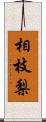 相枝梨 Scroll