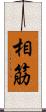相筋 Scroll