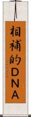 相補的ＤＮＡ Scroll