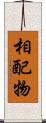 相配物 Scroll