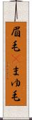 眉毛(P) Scroll