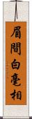 眉間白毫相 Scroll