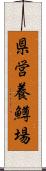 県営養鱒場 Scroll