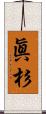 眞杉 Scroll