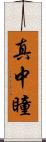 真中瞳 Scroll