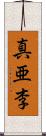 真亜李 Scroll