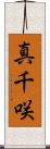 真千咲 Scroll