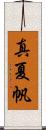 真夏帆 Scroll