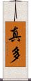 真多 Scroll
